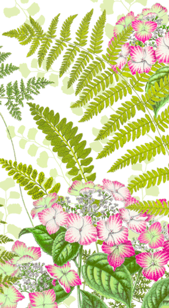 Guest Towel- NY Botanical Garden-Fern Garden Pkt15