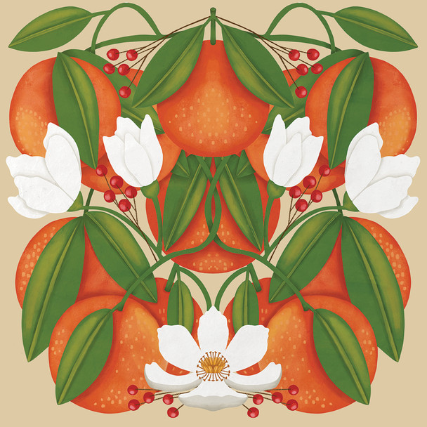 Herbarium- Oranges & Blossom