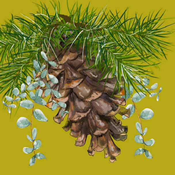Eucalyptus & Pine Cone (X24PHC FW468)