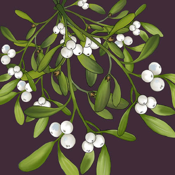 Mistletoe (X24PHC FW472)