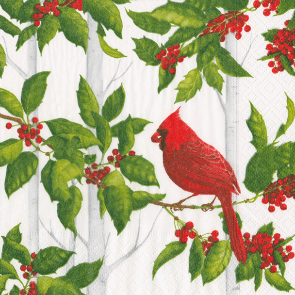 Holly & Songbirds