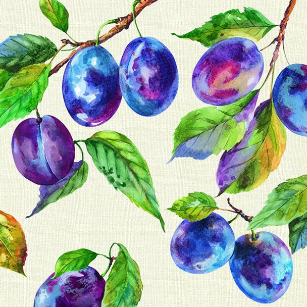 SALE - Home Grown Plums