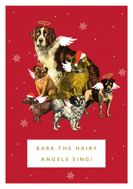 Bark the Hairy Angels Sing