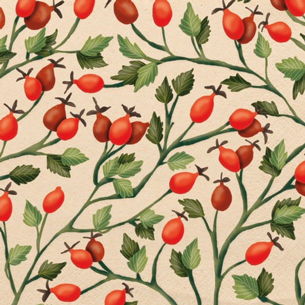 Rosehips on Eco Paper