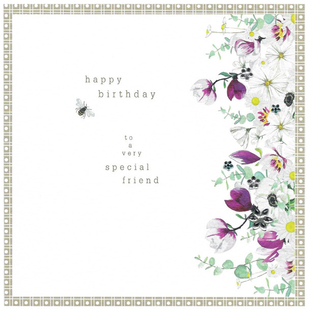 HB- Special Friend (CIN PH73)