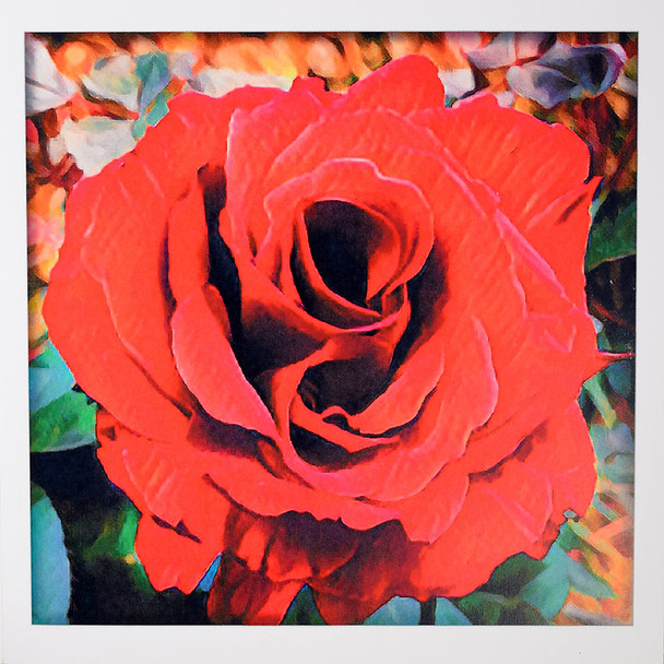 Red Rose (Unbagged)