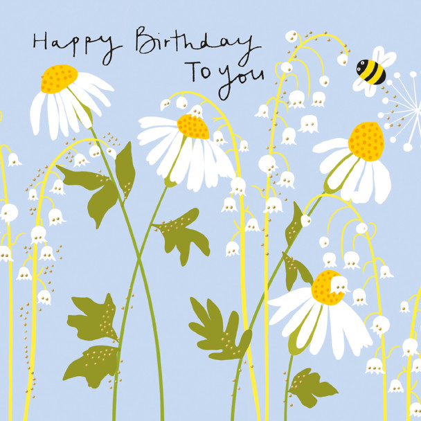 HB- To You Daisies