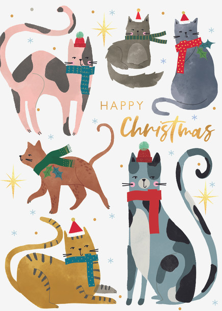 Cats