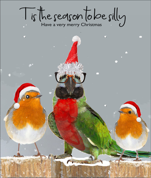 Tis the Parrot Season