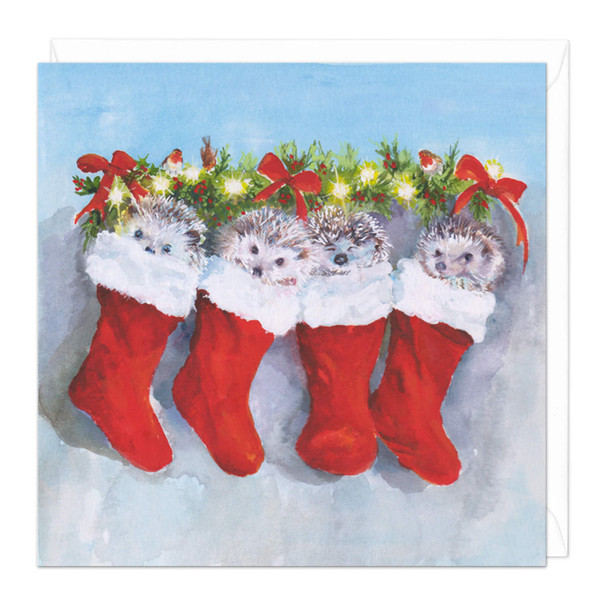 Christmas Hedgehogs (Unbagged)