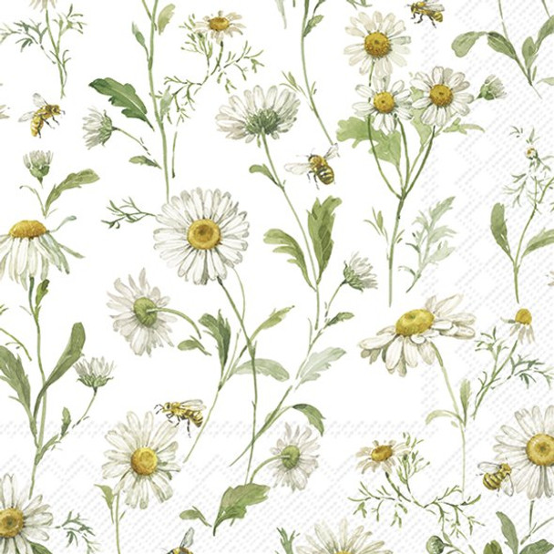 Daisies on White-Cocktail