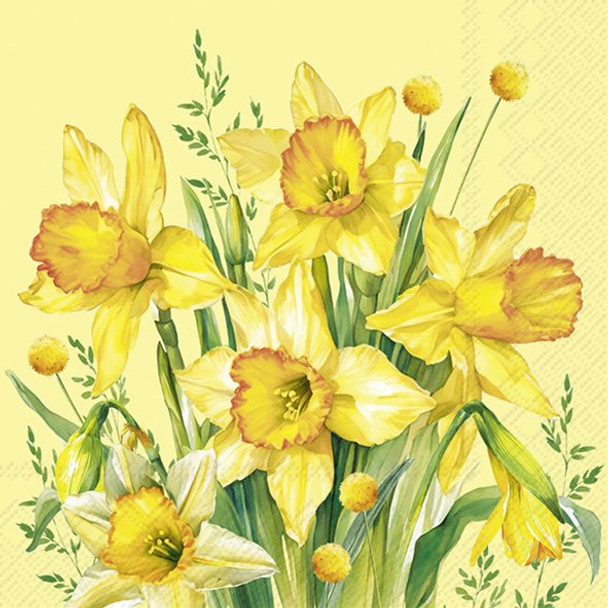 Narcissus Bouquet
