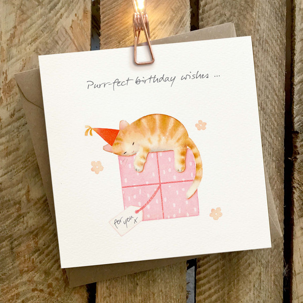 HB- Sleeping Ginger Cat