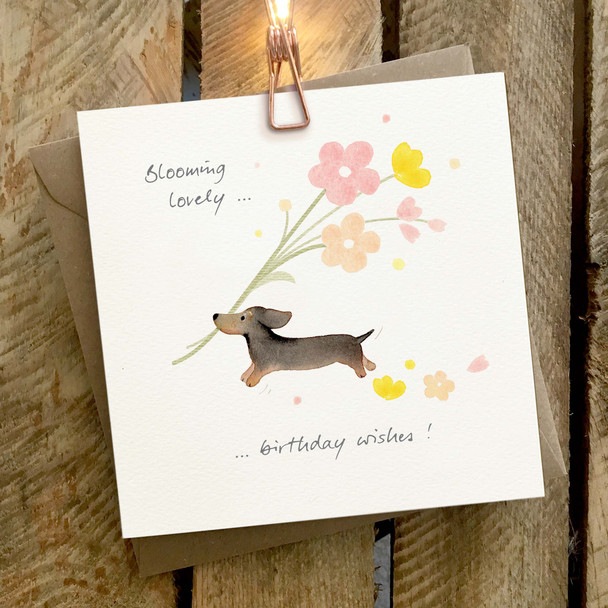 HB- Dachshund Blooming Lovely