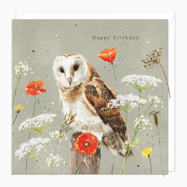 HB- Barn Owl (unbagged)