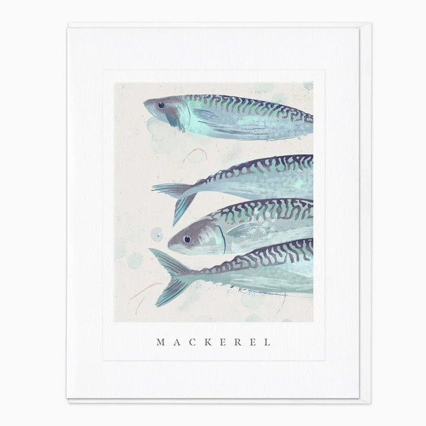 Portrait- Mackerel (unbagged, 170 x 138mm)