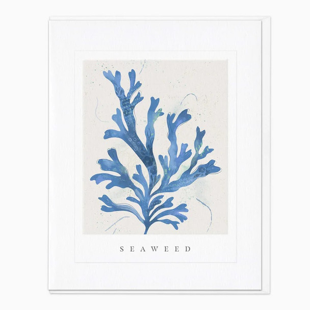 Portrait- Seaweed (unbagged, 170 x 138mm)