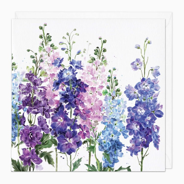 Delphinium (unbagged)