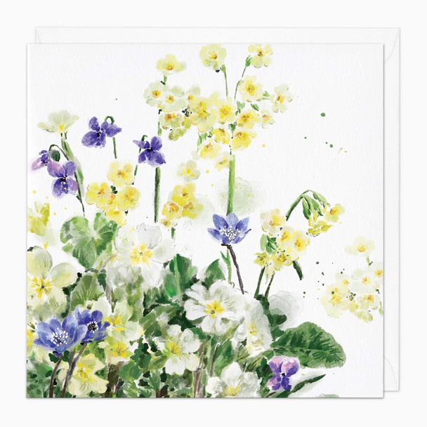 Primrose Violets (unbagged)