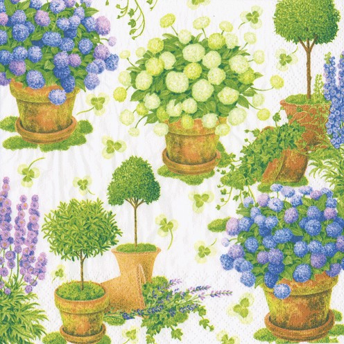 Karen Kluglein - Potted Hydrangeas-Cocktail