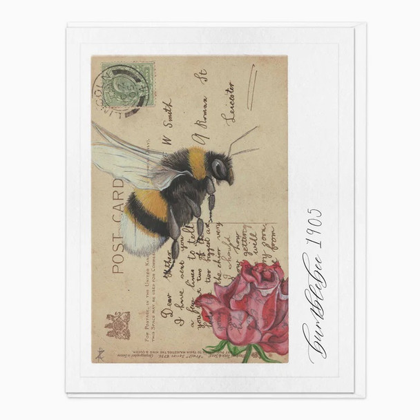 Portrait- Bumble Bee Vintage (unbagged, 170 x 138mm)