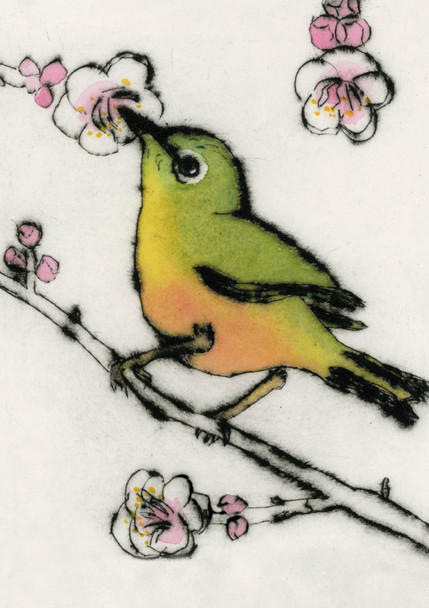 Royal Academy- Japanese White Eye Richard Spare