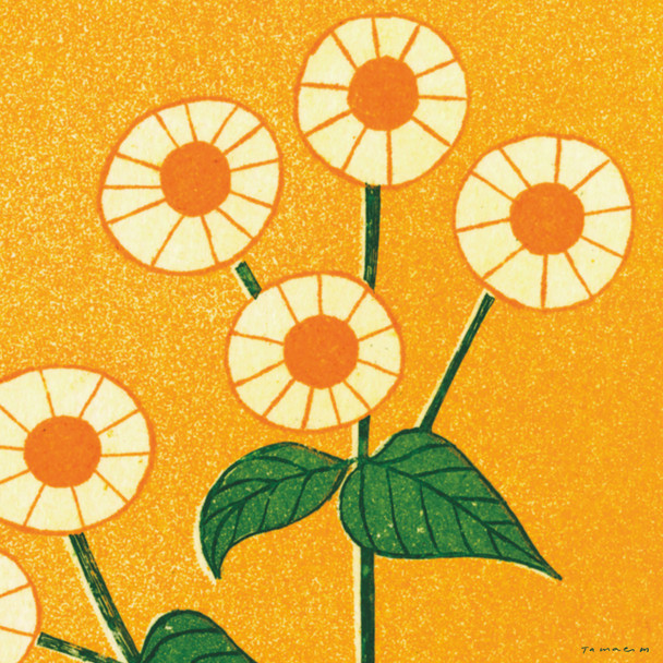 Tamae Mizukami- Philadelphia Fleabane