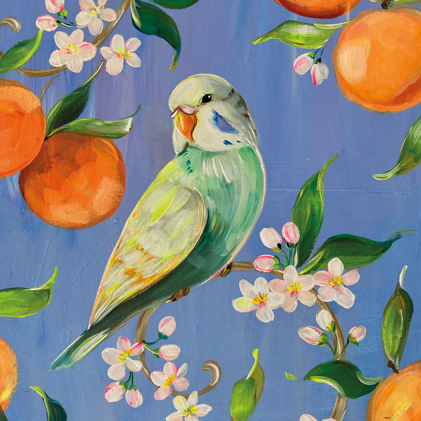Parakeet and Oranges