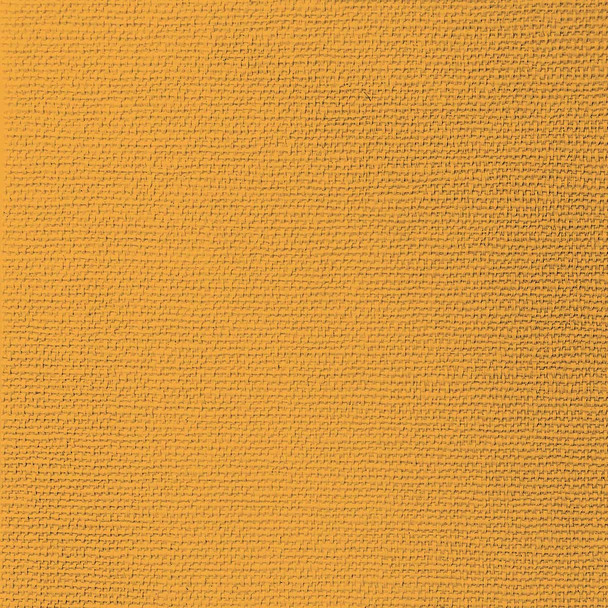 Canvas Orange