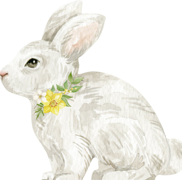 Cut-Out - Easter Bunny (Pkt 12)