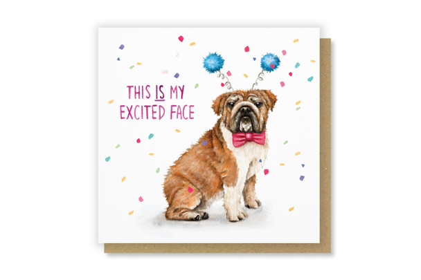 Pun Fun HB- Excited Face (SQ155mm)