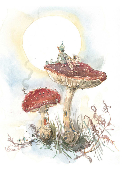 Claire Fletcher - Fairy Friends