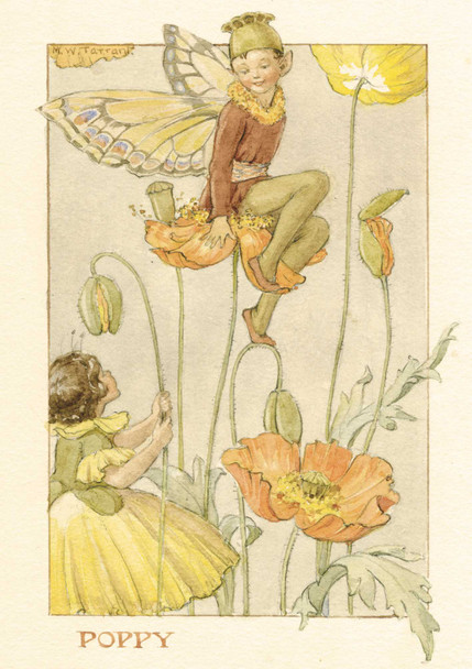 Nostalgia - Poppy Fairy