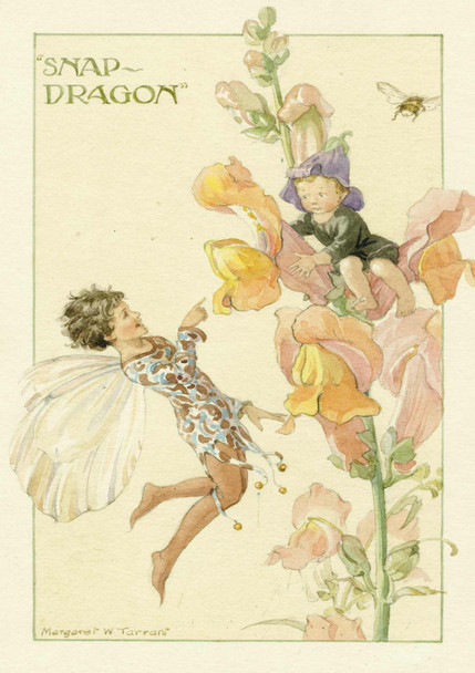 Nostalgia - Snapdragon Fairy