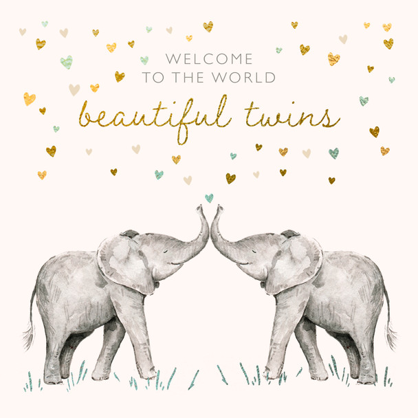 NB- Beautiful Twins (SQ150mm)