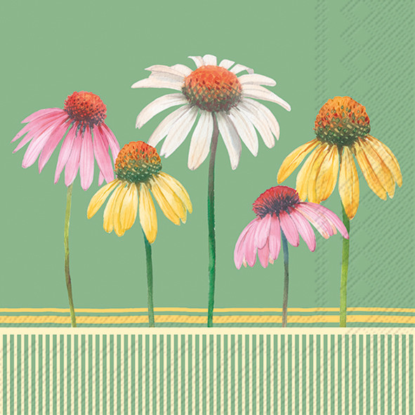 Pastel Flowers (IHRL1096420)