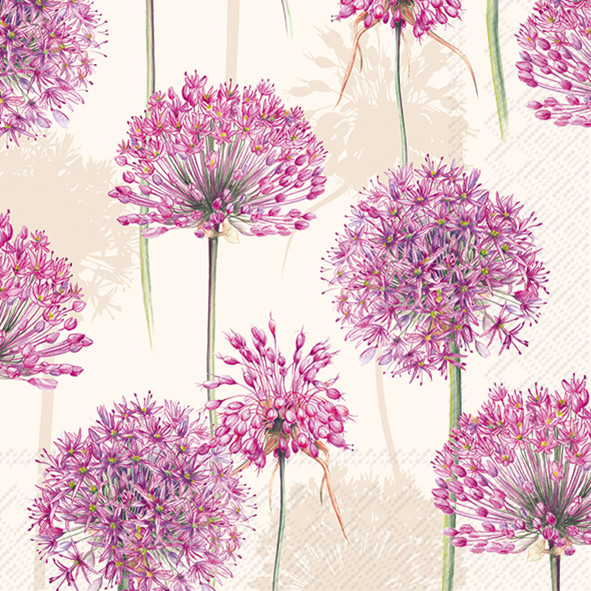Allium (IHRL1101360)