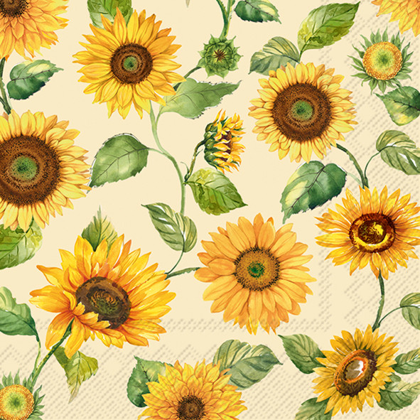 Golden Hour Sunflowers (IHRL1101960)