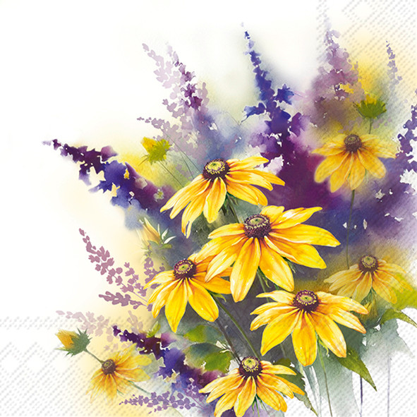 Coneflower (IHRL1107800)