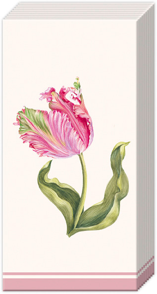 Driselle Tulip Classic (IHRPT1097860)