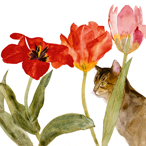Royal Academy- Dame E. Blackadder - Cat Amongst Tulips