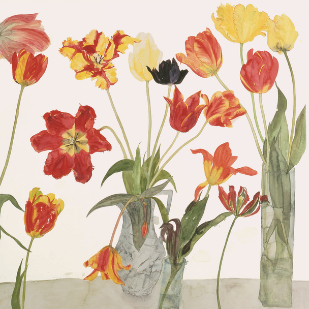 Royal Academy- Dame E. Blackadder - Parrot Tulips