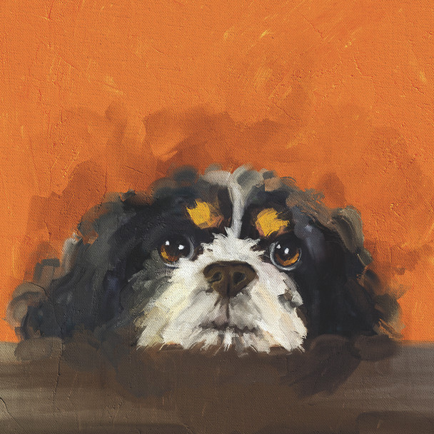 Hounds - Archie (138x138mm)