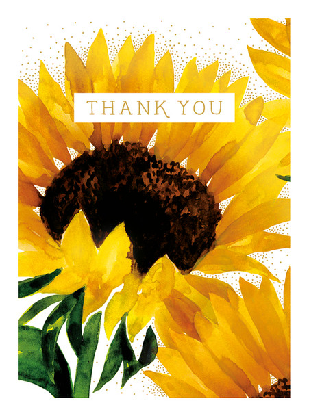 Notecards (Pk6) TY- Thank You Sunflower