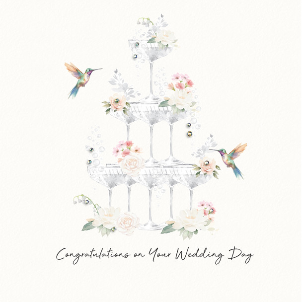 Beija Flor WD- Congratulations