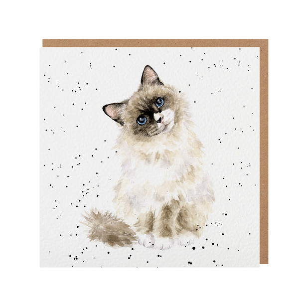 SQ- Paws for Thought