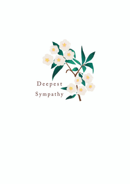 Quiet Edit SY- Deepest Sympathy