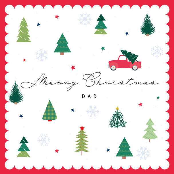 SALE - Dad Christmas Tree (unbagged)