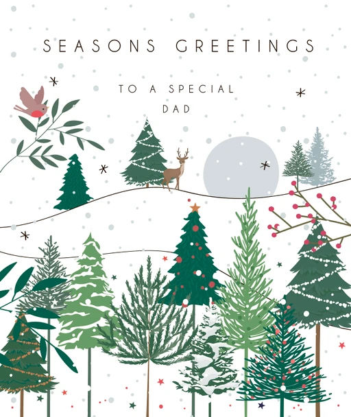 SALE Special Dad (unbagged) (X26BBD MWX05)