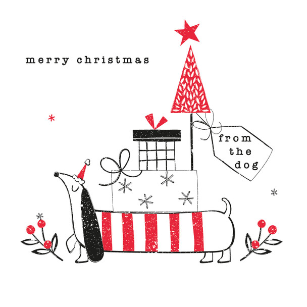 From The Dog (unbagged) (X26BBD WCX26)